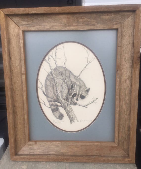 Vintage Gene Murray Limited Edition Signed Print Racoon Rustic Wood Framed