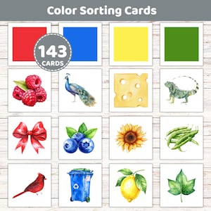 May include: A set of 143 color sorting cards featuring watercolor illustrations organized by color. The cards display red raspberries, a blue peacock, yellow cheese, a green iguana, a red bow, blue blueberries, a yellow sunflower, green beans, a red cardinal, a blue recycling bin, a yellow lemon, and a green leaf.