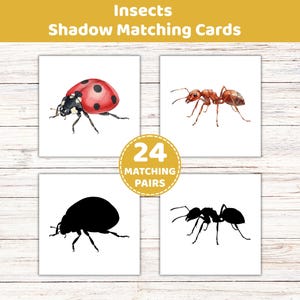 May include: Insect shadow matching cards featuring watercolor illustrations of a ladybug and an ant, paired with their black silhouette counterparts. The set includes 24 matching pairs. The text "Insects Shadow Matching Cards" is at the top.