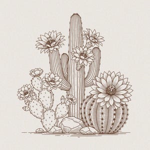 Realistic Cactus Art - Etsy Ireland