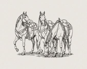 Western Horses Desert PNG SVG | Cowboy and Cowgirl Horse Illustration | Ranch Country Sublimation Design for T-Shirts, Crafts & Home Decor