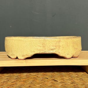 Puede incluir: Una pequeña maceta de bonsái de cerámica oblonga con un exterior texturizado de color amarillo-beige. La maceta tiene un borde ligeramente curvado y una base festoneada con un tono marrón rojizo. Se encuentra sobre una superficie de madera clara sobre un fondo oscuro.