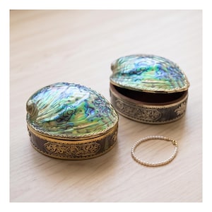 Natural Abalone Shell Jewelry Box, Trinket Organizer, Keepsake Box, Unique Storage Box, Jewelry Organizer, Vanity Storage, Earring Organizer