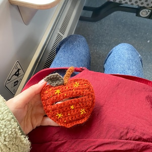 Crochet pouch for wired earphones. Small red apple with yellow embroidered stars, brown stem and dark green leaf on top