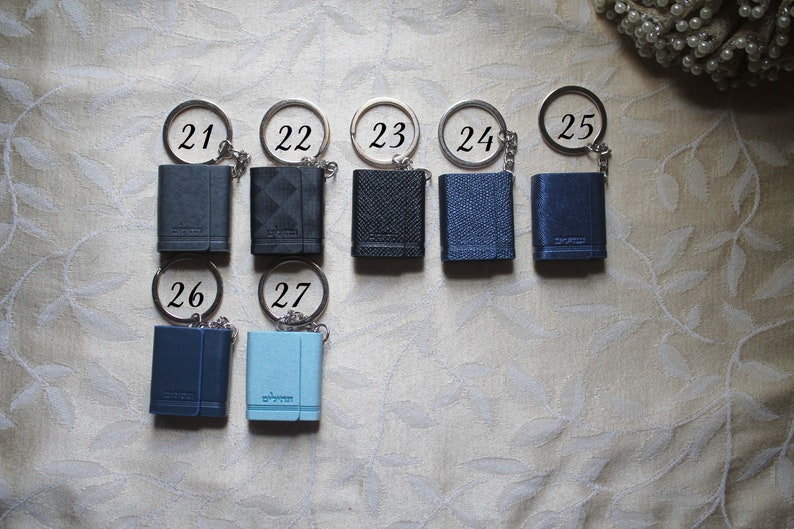 May include: A set of ten small, leather-bound notebooks with keychains. The notebooks are numbered 21 through 27 and are in shades of blue and black.