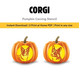 May include: Two orange pumpkins with corgi dog stencil designs. The pumpkins have a brown stem and a yellow circle with a corgi dog illustration. The text "CORGI" and "Pumpkin Carving Stencil" are at the top.