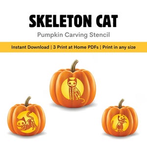 Skelet Cat Pumpkin-stencil: afdrukbaar Halloween-snijpatroon, pdf-bestand direct downloaden DIY-pompoenlantaarnsjablonen
