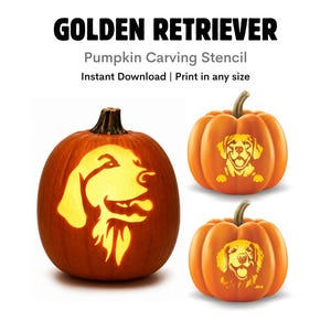 Molde de abóbora Golden Retriever: o molde mais fofo para esculpir abóboras no Halloween (Download instantâneo)
