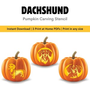 May include: Three orange pumpkins with dachshund dog stencils. The text "DACHSHUND Pumpkin Carving Stencil" is at the top. The pumpkins have different dachshund designs. The text "Instant Download | 3 Print at Home PDFs | Print in any size" is in a yellow banner.