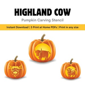 Könnte beinhalten: Das Bild zeigt drei orangefarbene Kürbisse mit Highland-Kuh-Schnitzschablonen. Die Kürbisse haben braune Stiele und sind vor einem weißen Hintergrund platziert. Der Text "HIGHLAND COW Pumpkin Carving Stencil" steht oben.