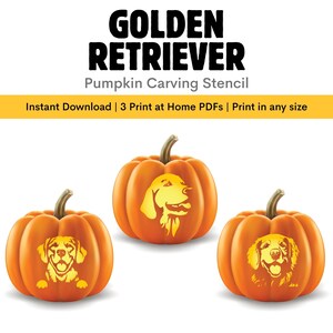 May include: Three orange pumpkins with Golden Retriever stencil designs. The pumpkins have brown stems and are set against a white background. The text "GOLDEN RETRIEVER Pumpkin Carving Stencil" is at the top.