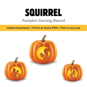 Stencil pompoen eekhoorn: schattig Halloween-dierpatroonsjabloon (directe digitale download)