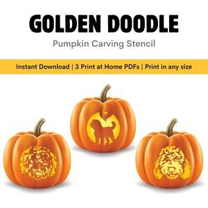 May include: Three orange pumpkins with Golden Doodle designs for carving. The pumpkins have a carved-out dog silhouette and dog faces. The text "GOLDEN DOODLE Pumpkin Carving Stencil" is at the top.