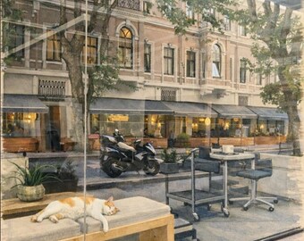 Impresión artística de un café tranquilo con un gato durmiendo (descarga digital)