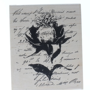 Botanical Roimantic Safflower Flower Script Stampington And Co Wood Mount Rubber Stamp