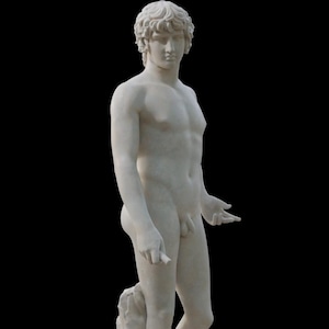 Farnese Antinous Marble Bust Statue | Classical Roman Sculpture | Handmade White Marble Home Decor