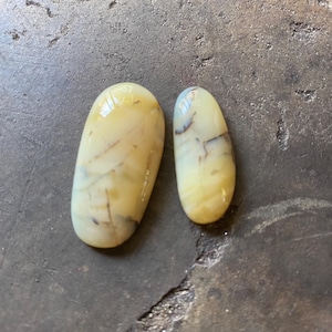 May include: Two polished, oval-shaped gemstones. The stones are a creamy yellow color with subtle brown veining. The larger stone is approximately 1.5 inches long, and the smaller stone is about 1 inch long. The gemstones are set against a dark gray surface.