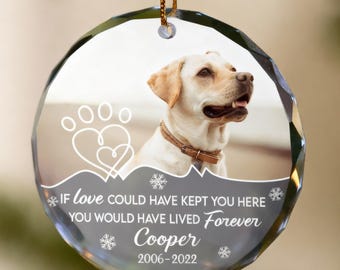 Personalized When You Miss Me Pet Memorial Glass Ornament, Custom Pet Photo Glass Ornament, Dog Cat Loss Remembrance Gift Keepsake - The Red First