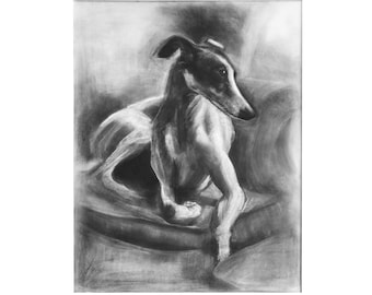 May include: A black and white charcoal drawing of a greyhound dog lying down on a couch. The dog is looking to the right of the image.