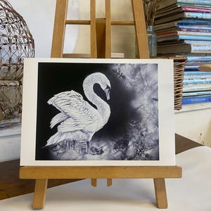 Swan