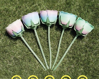 Può includere: Cinque rose artificiali con steli e sepali verdi. I petali di rosa hanno una sfumatura di rosa, blu e verde. I fiori sono disposti su erba verde. Ogni fiore è etichettato con una lettera da A a E.