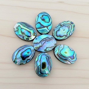 May include: Seven oval abalone shell cabochons arranged in a circular pattern. The shells display iridescent blues, greens, and purples with unique swirling patterns. The shells are set against a light wood grain background.