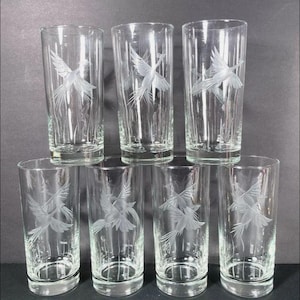 7 Vintage Tiki Exotic Bird Engraved Etched Tom Collins Glasses or Tumblers Barware Drinking Glasses