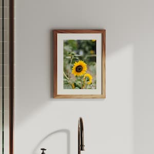 Sunflower Photography Print: Botanical Floral Wall Art (Digital Download 4758x7138px JPG)