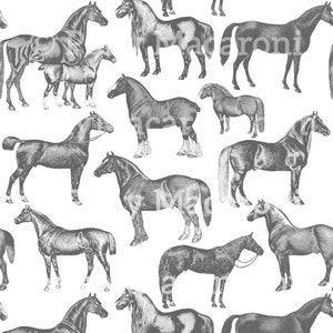 Charcoal Black Gray Horse Print Equestrian Scrapbook Paper Digital Download 12x12 inch