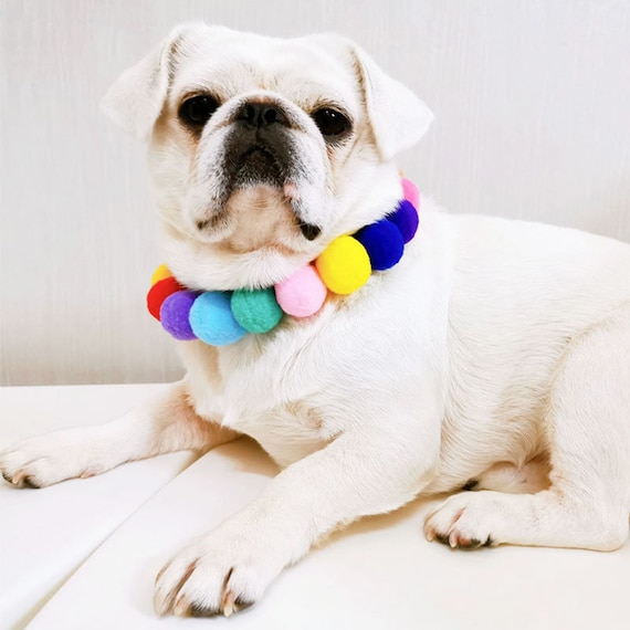 Rainbow Pom Pom Dog Cat Pet Collar Necklace Etsy
