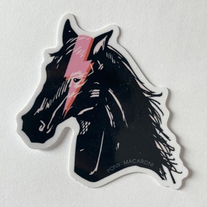 Rock Star Horse Equestrian Vinyl laptop sticker