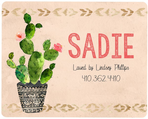 Custom Southwest Style Cactus Horse Stall Name Plate 8x10"