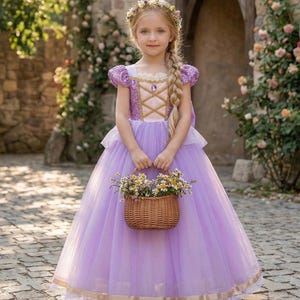 big puffy princess dresses for halloween Plus Size Disney Princess and the Frog Charlotte Costume