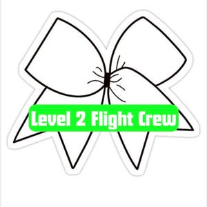 May include: A sticker featuring a black and white line drawing of a large hair bow. Across the center of the bow is a bright green rectangular banner with the white text Level 2 Flight Crew printed in a bold, sans-serif font style.