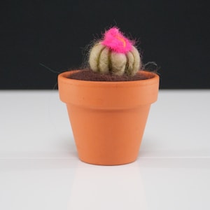 May include: A small, handmade felt cactus with a bright pink flower, planted in a terracotta pot. The cactus is a light green color, and the pot is a classic orange-brown. The background is a stark contrast of black and white.