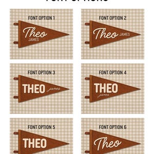 May include: A display of six pennant designs with the text "FONT OPTIONS" at the top. Each pennant is brown with a white name. The names are "Theo" and "James" in various font styles. The background is a light brown checkered pattern.