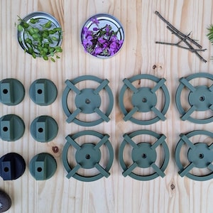 May include: An overhead shot of various objects on a light wood surface. There are several small jars with flowers and herbs, along with green, circular objects and other natural elements like a pinecone and twigs. The color palette is earthy.