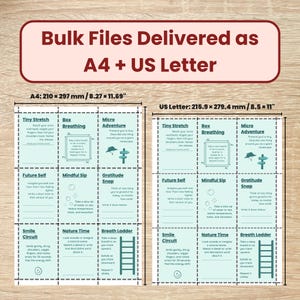May include: Two mindfulness templates, one A4 size (210 x 297 mm) and one US Letter size (215.9 x 279.4 mm). Each template includes sections for Tiny Stretch, Box Breathing, Micro Adventure, Future Self, Mindful Sip, Gratitude Snap, Smile Circuit, Nature Time, and Breath Ladder.
