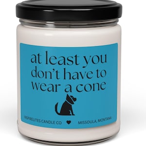 At Least You Don&#39;t Have to Wear A Cone Funny Get Well Soon Gift