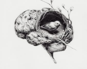 Contemporary Art Print | Bird graphite pencil drawing | Foolish Imagination surreal art