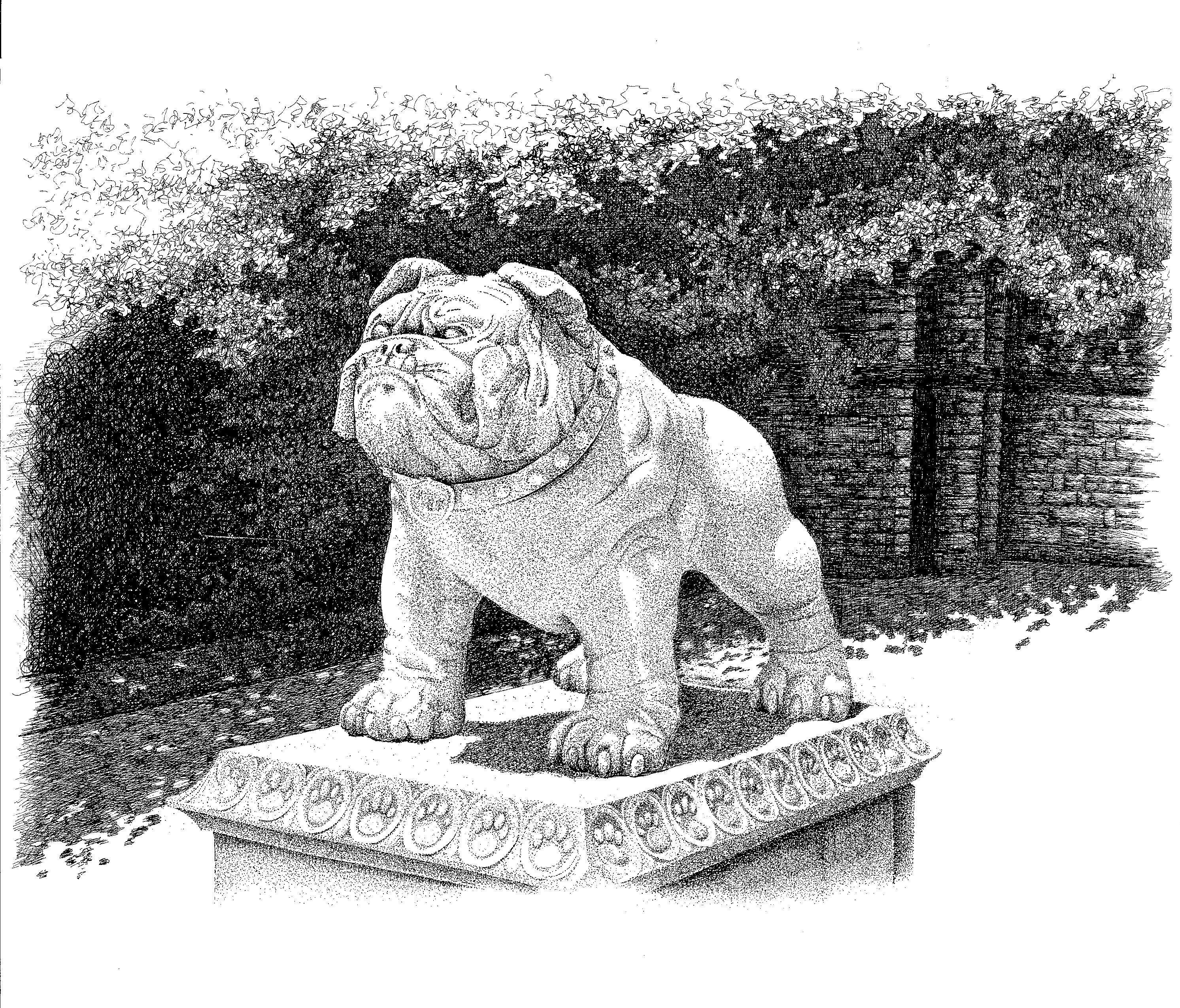 Butler Note Cards - Etsy