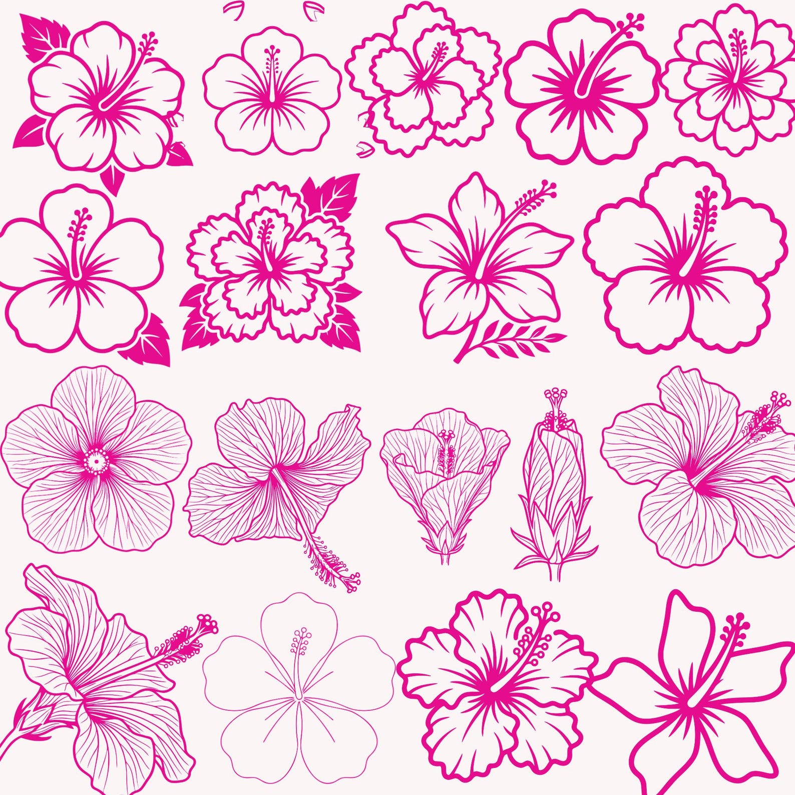 Hibiscus Flowers SVG Bundle | Tropical Floral Clipart, Hawaiian Designs ...