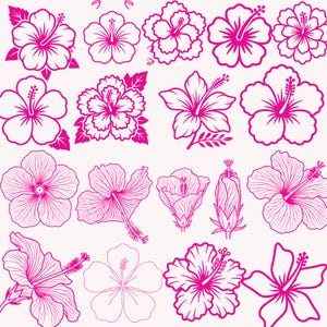 May include: A collection of pink hibiscus flower illustrations in various stages of bloom, from buds to fully open blossoms. The flowers are outlined in a vibrant pink against a cream background, showcasing detailed petal structures and stamens.