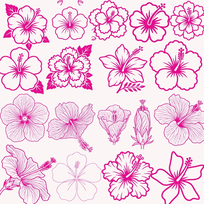 May include: A collection of pink hibiscus flower illustrations in various stages of bloom, from buds to fully open blossoms. The flowers are outlined in a vibrant pink against a cream background, showcasing detailed petal structures and stamens.