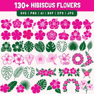 May include: A collection of hibiscus flower and leaf designs in various styles. The image includes a variety of pink hibiscus flowers and green leaves, with the text "130+ HIBISCUS FLOWERS" at the top. File formats include SVG, PNG, AI, DXF, EPS, and JPG.