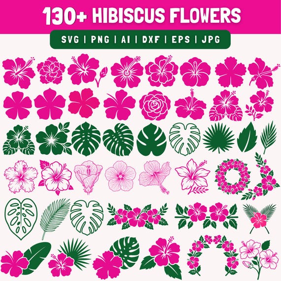 Hibiscus Flowers SVG Bundle | Tropical Floral Clipart, Hawaiian Designs (Digital Download)