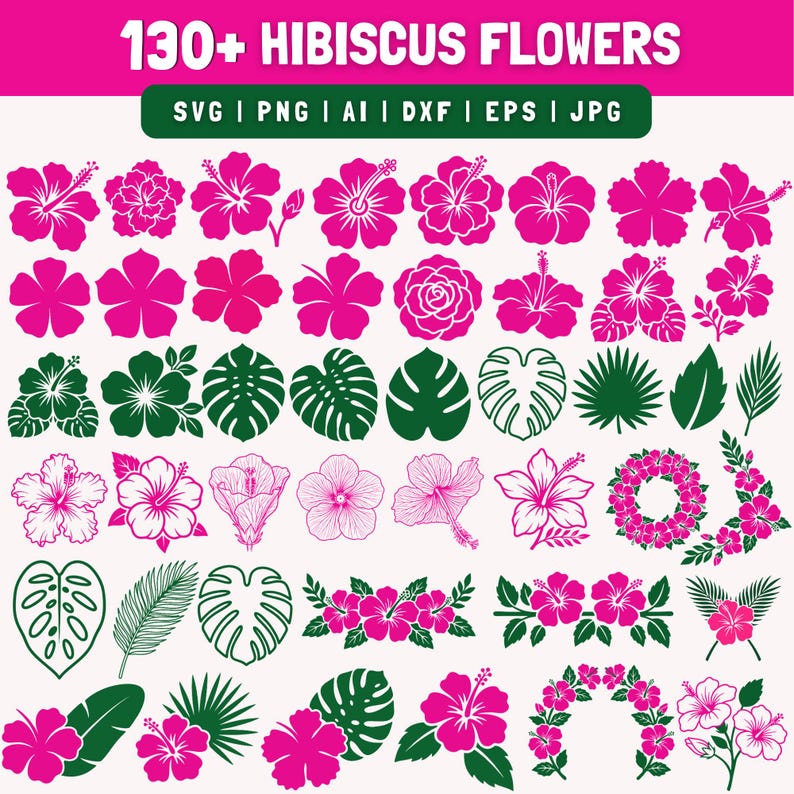May include: A collection of hibiscus flower and leaf designs in various styles. The image includes a variety of pink hibiscus flowers and green leaves, with the text "130+ HIBISCUS FLOWERS" at the top. File formats include SVG, PNG, AI, DXF, EPS, and JPG.
