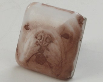 French bulldog  knob - Fused glass