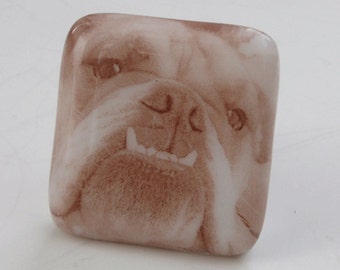 English bulldog  knob - Fused glass