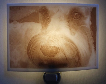 Schnauzer  nightlight